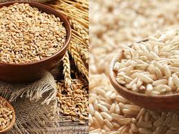 Seeds
